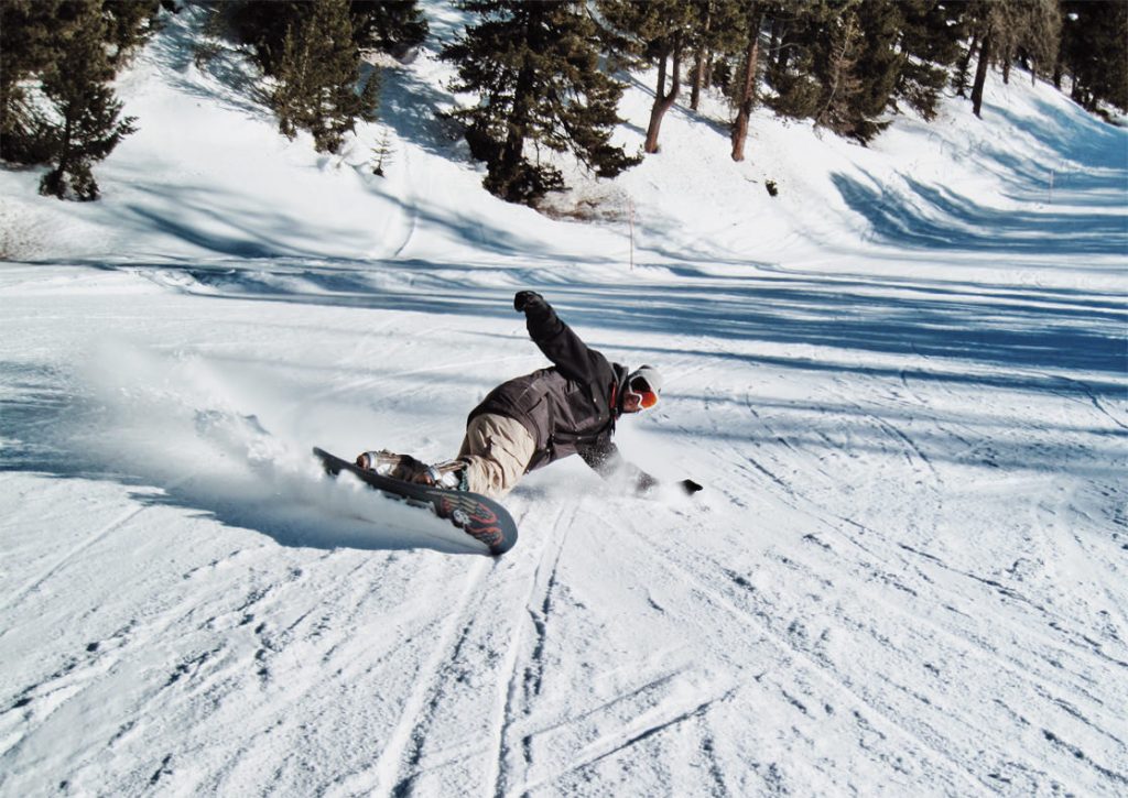 snowboard alpino freecarving